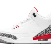Jordan 3 Retro Hall of Fame (Sneaker Politics Special Release)