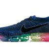 Nike Air VaporMax Be True (2017)