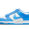 Nike Dunk Low UNC (2021)