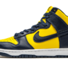 Nike Dunk High Michigan (2020)