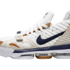 Nike LeBron 16 Air Trainer Medicine Ball