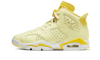 Jordan 6 Retro Dynamic Yellow Floral (GS)