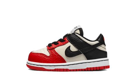 Nike Dunk Low EMB NBA 75th Anniversary Chicago (TD)