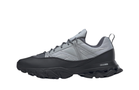 Reebok Dmx Trail Shadow Pure Grey