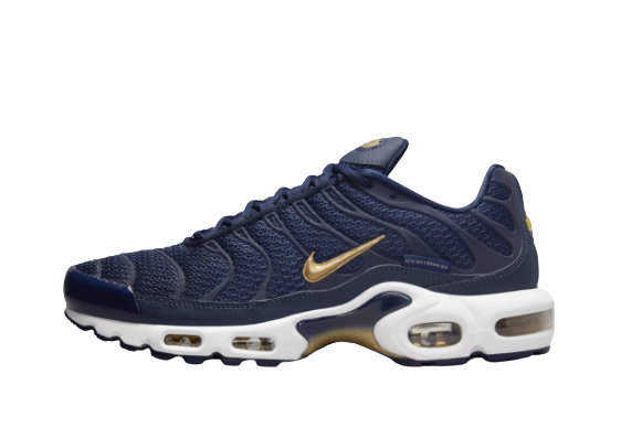 Nike Air Max Plus ‘FFF’