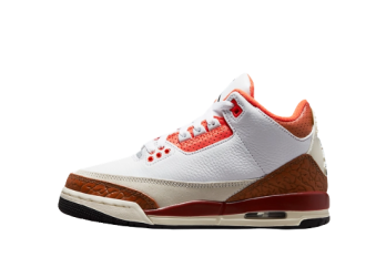 Jordan 3 Retro SE Dunk on Mars (GS)