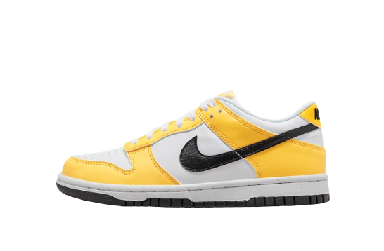 Nike Dunk Low Next Nature
