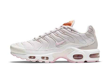 Nike Air Max Plus ‘Vast Grey Metallic Copper’ (W)