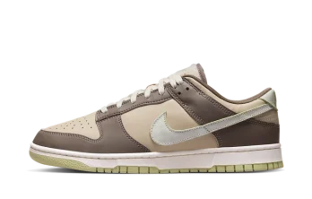 Nike Air Dunk Velcro Tongue Milk Tea