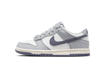 Nike Dunk Low Platinum Tint Light Carbon (GS)